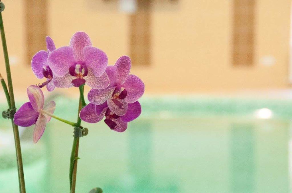 Apartmán Bornemisza Kuria Tiszabecs Exteriér fotografie